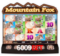 Interface Premium 6009bet